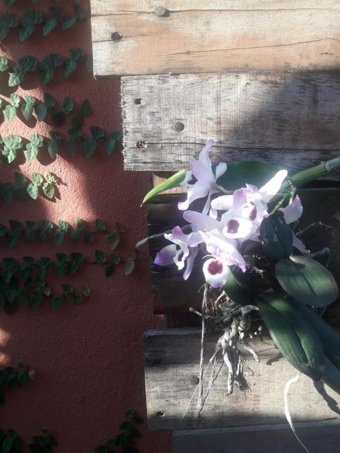 Casa Indaia Bnb - Casa Compartilhada Caraguatatuba Zewnętrze zdjęcie