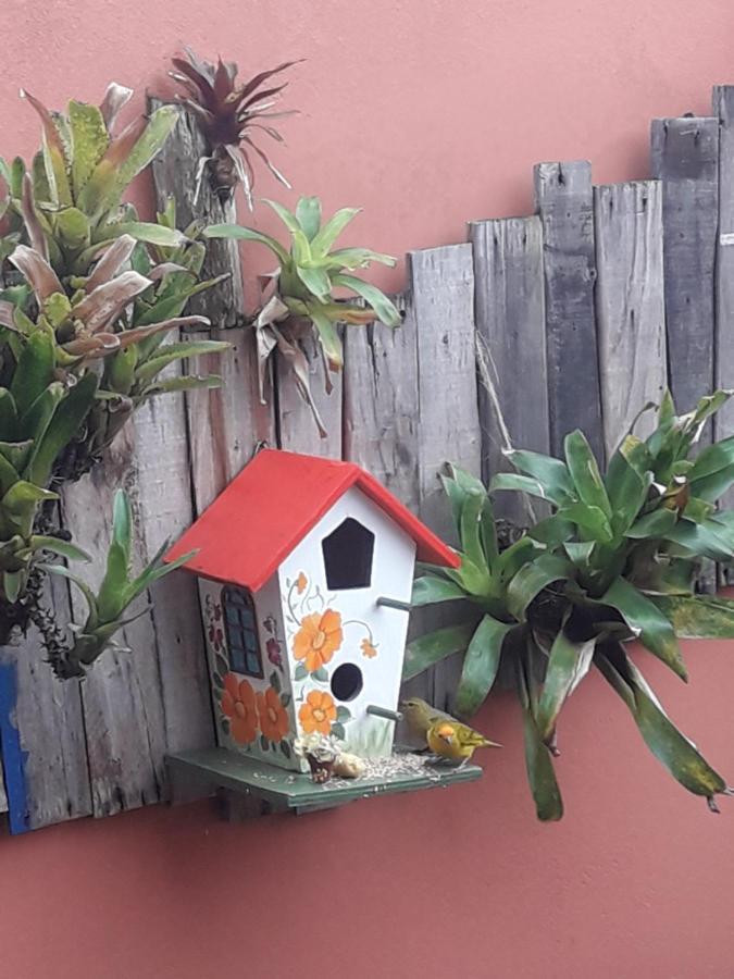 Casa Indaia Bnb - Casa Compartilhada Caraguatatuba Zewnętrze zdjęcie
