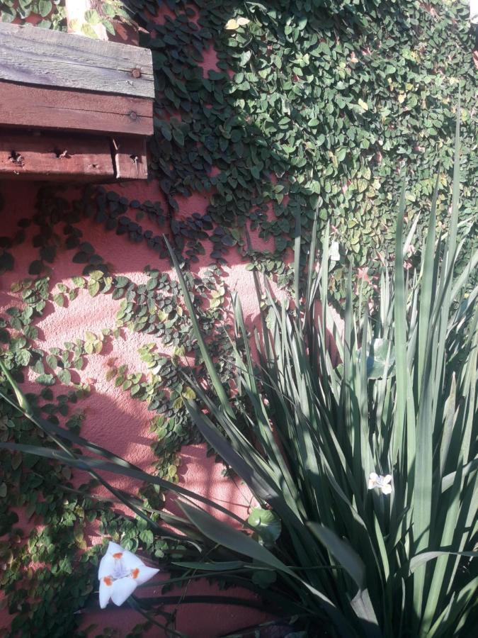 Casa Indaia Bnb - Casa Compartilhada Caraguatatuba Zewnętrze zdjęcie
