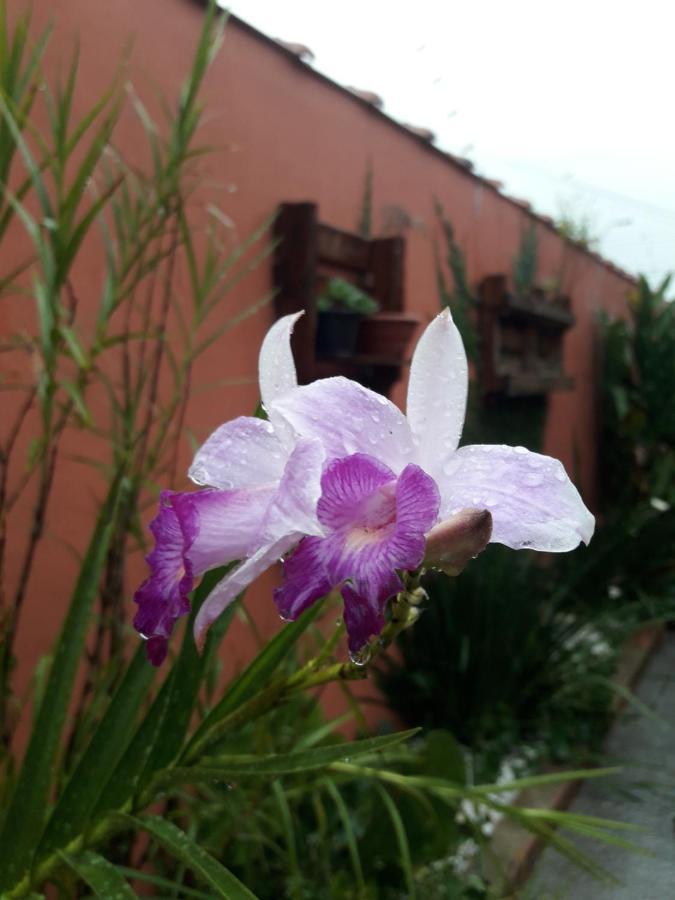 Casa Indaia Bnb - Casa Compartilhada Caraguatatuba Zewnętrze zdjęcie